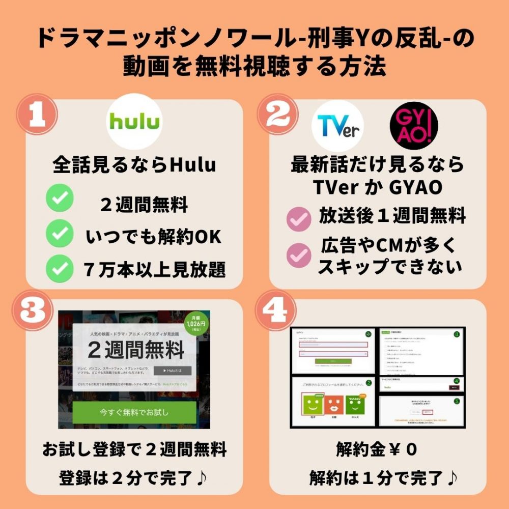 ドラマ ニッポンノワールの動画を全話無料フル視聴できる配信サイトを徹底比較 テレドラステージ