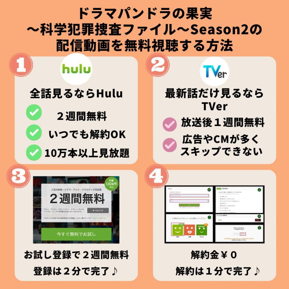 ドラマ　パンドラの果実科学犯罪捜査ファイル2　無料動画配信　hulu