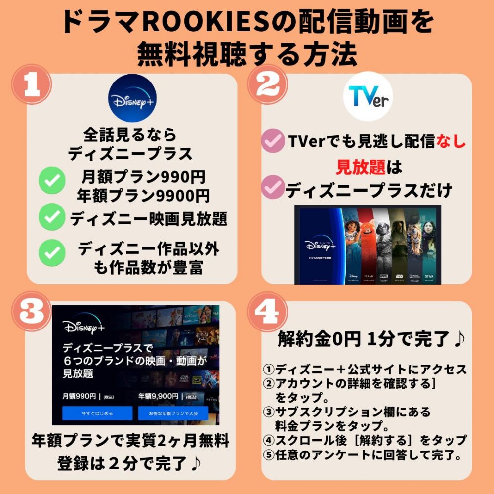 ドラマ ROOKIES 配信動画 無料視聴