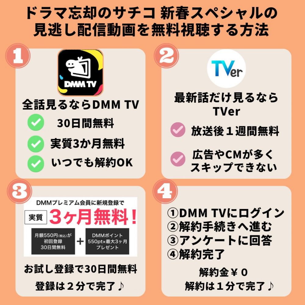 DMMTV忘却のサチコ 新春スペシャル 無料配信動画