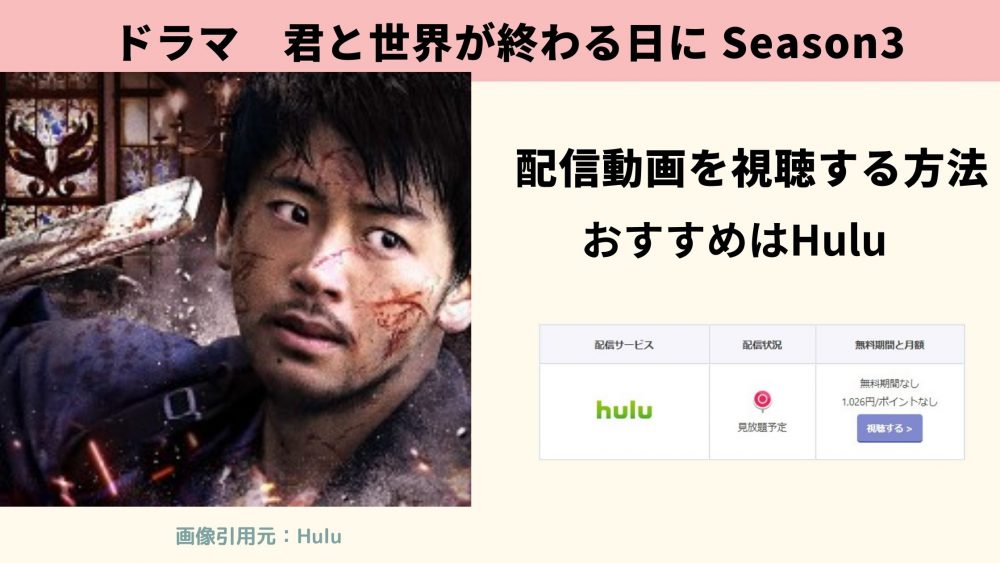 Hulu ドラマ　君と世界が終わる日に Season3　動画配信