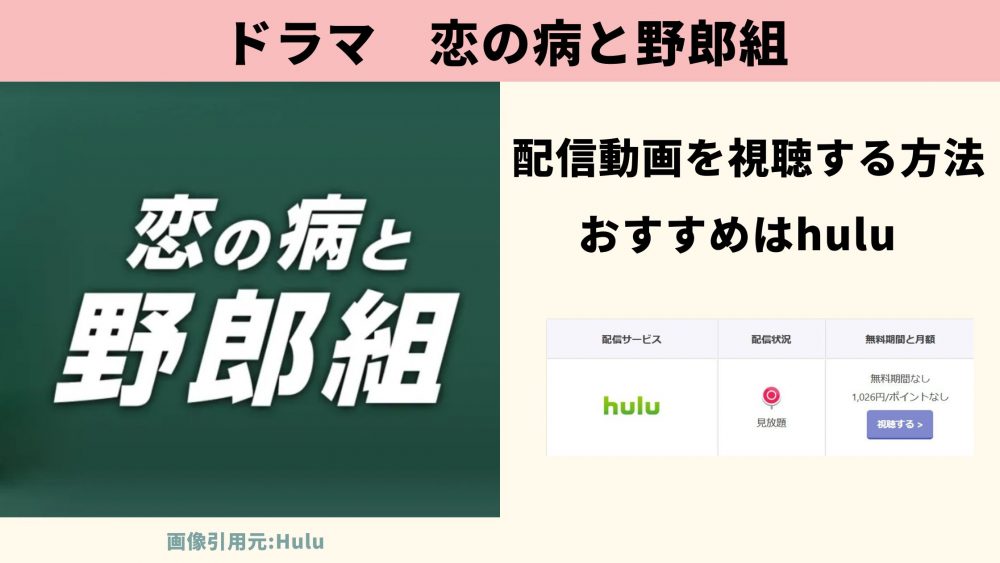 ドラマ 恋の病と野郎組 無料配信動画 Hulu