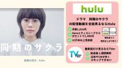 ドラマ 同期のサクラ 配信動画 Hulu