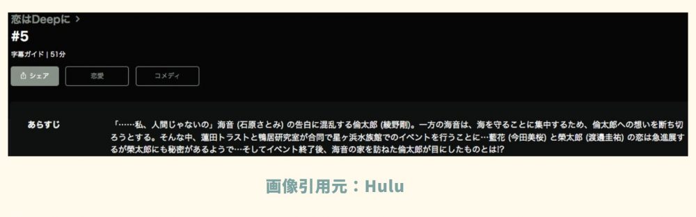 Hulu ドラマ 恋はDeepに　動画配信　