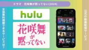 ドラマ 花咲舞が黙ってない2024 配信 Hulu 無料視聴
