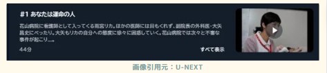 リカ‐ドラマ1話‐U-NEXT