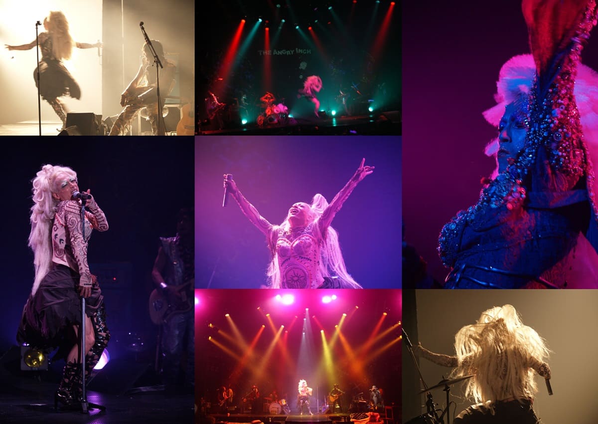 三上博史のヘドウィグがライブで復活！『HEDWIG AND THE ANGRY INCH【LIVE】』開催決定